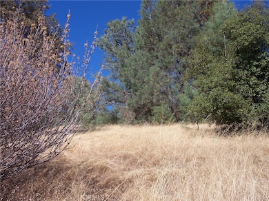 10490 Terrace Dr, Clearlake Oaks, CA 95423 - photo 4