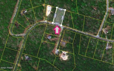 Lot 768 Tink Wig Dr, Lackawaxen Township, PA 18428 - photo 4