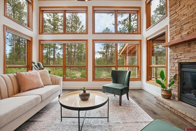 270 N Lakeside Dr, Durango, CO 81303 - photo 6