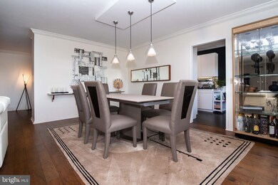 The Trianon unit 301, Bala Cynwyd, PA 19004 - photo 7