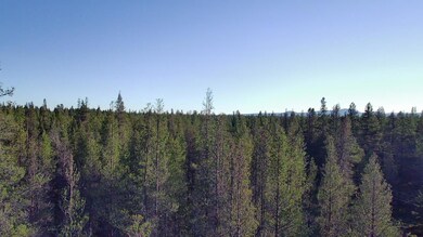 IMG_5548