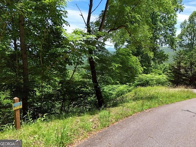 Lot 10 Hidden Summit Rd unit 10, Hiawassee, GA 30546 - photo 6