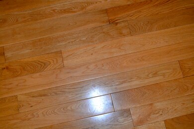 Nice wood floors!