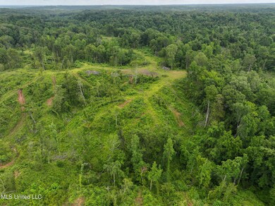 DJI_20250529105628_0005_D