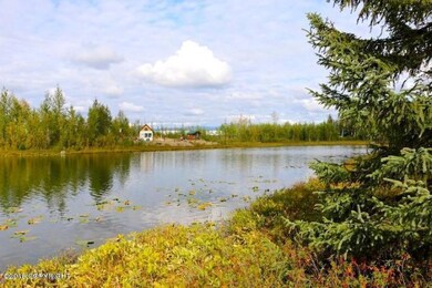 13923 Big Lake Rd, Wasilla, AK 99652 - photo 3