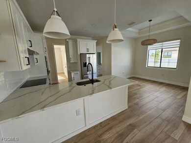 3217 SW 3rd Ln, Cape Coral, FL 33991 - photo 6