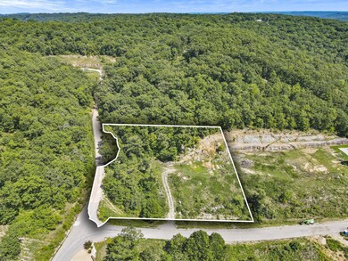 Table Rock Lake View Build Site