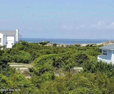 13 Royal Tern Ct, Bald Head Island, NC 28461 - photo 2