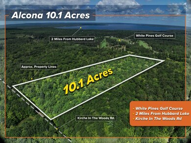 Alcona 10.1 Acres MI_rz 2