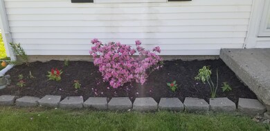 Front yard landscaped