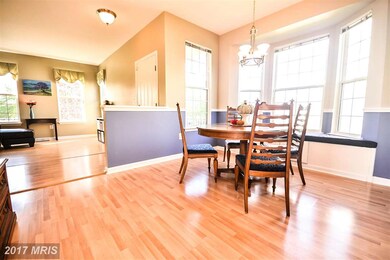 26216 Rachel Hill Dr, Chantilly, VA 20152 - photo 4