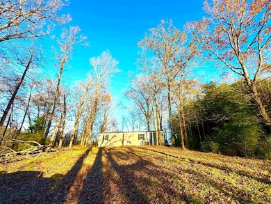 XXX Hwy 84, Glenwood, AR 71943 - photo 2