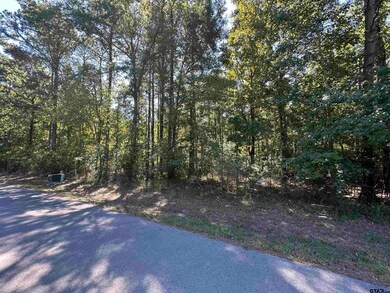 14688 Jade Forest Trail, Tyler, TX 75707 - photo 3