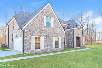 024-photo-side-view-10479962