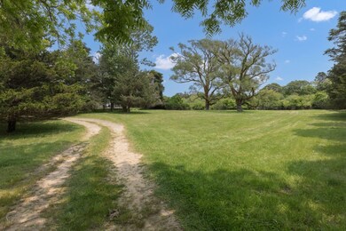 Driveway/side yard