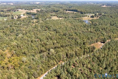 0 File Rd unit 2524966, Milford, VA 22514 - photo 5