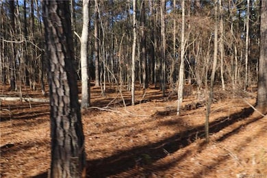 #15 State Road S-46-1102 unit 15, York, SC 29745 - photo 5