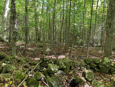 0 Mt Eustis unit 4883807, Littleton, NH 03561 - photo 3