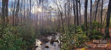 V/L Chickasaw Way unit 2B, Linville Falls, NC 28752 - photo 6