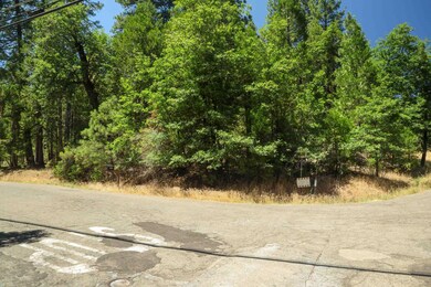 0 Speckled Rd, Pollock Pines, CA 95726 - photo 4