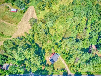 145 Jones Rd, Leicester, NC 28748 - photo 6