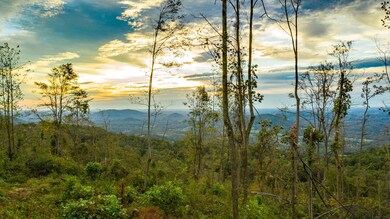 DJI_0161