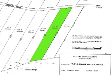 M 5 Lot 41 Morgan Rd, Burnham, ME 04922 - photo 3