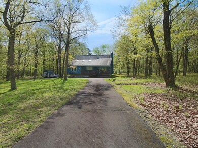 116 Avocado Ln, Milford, PA 18337 - photo 5