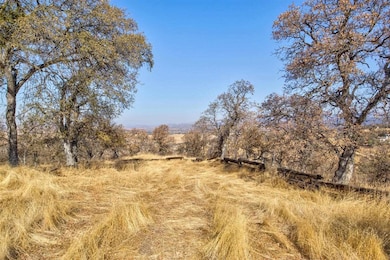 View of local wilderness featuring a rural view