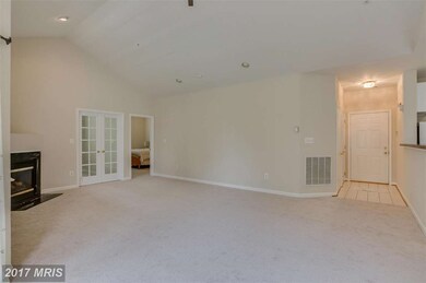 5004 Willow Branch Way unit 302, Owings Mills, MD 21117 - photo 6