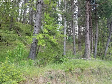 0 Willis Creek Rd unit 23389927, Winston, OR 97496 - photo 5