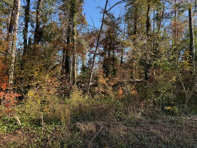 0 Apache Dr unit 1523744, Jackson, GA 30233 - photo 4