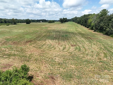 5027 Mobley Store Rd, McConnells, SC 29726 - photo 5