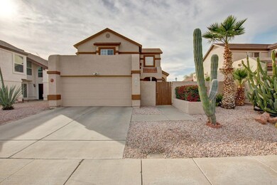 Desert Landscaping