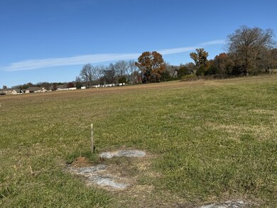 313 Holly Grove Rd, Lascassas, TN 37085 - photo 5