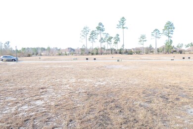 1419 Cross Water Cir, Leland, NC 28451 - photo 4