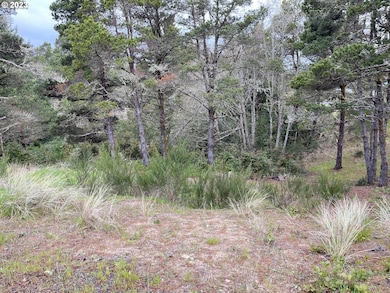 649 Ibolt Ct, Florence, OR 97439 - photo 4