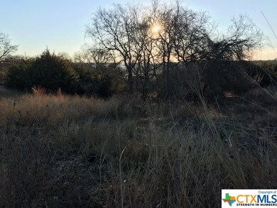 1505 Alan Arbor Ln, Copperas Cove, TX 76522 - photo 5