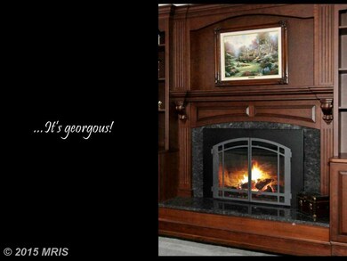 7039 Allington Manor Cir E, Frederick, MD 21703 - photo 5