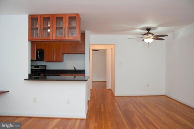 111 Lee Ave unit 203, Takoma Park, MD 20912 - photo 4