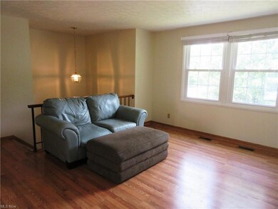 Open concept living room with a lot of light.