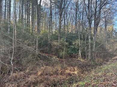 TBD Dickey Rd, Murphy, NC 28906 - photo 6