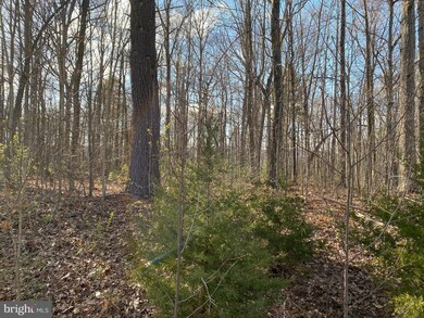 Lot 9 Jones Farm Rd, South River, VA 22610 - photo 2