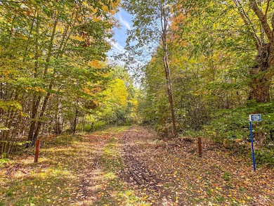 72281 Hennes Rd, Gordon, WI 54527 - photo 4