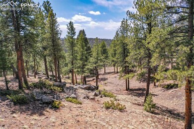 5851 W Us Highway 24, Divide, CO 80814 - photo 7