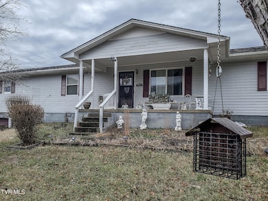 61 Rattlesnake Ridge Rd, Chuckey, TN 37641 - photo 3