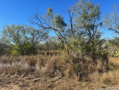 LOTS 2456-2458 Avenue J, Christine, TX 78012 - photo 3