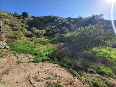 0 North Trail unit SR23176546, Sylmar, CA 91342 - photo 6