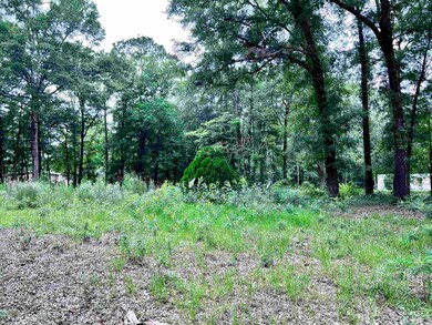 136 Fontaine Cir, Crawfordville, FL 32327 - photo 5