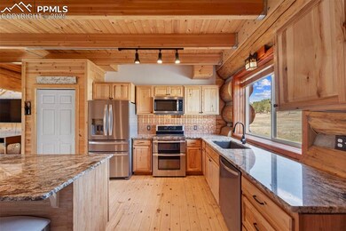 654 High Pasture Rd, Florissant, CO 80816 - photo 7